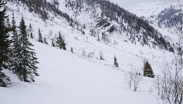 �� �������� � ������� ��������� �������� ��������� 