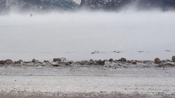 � ���������� �������� ����� �� -36