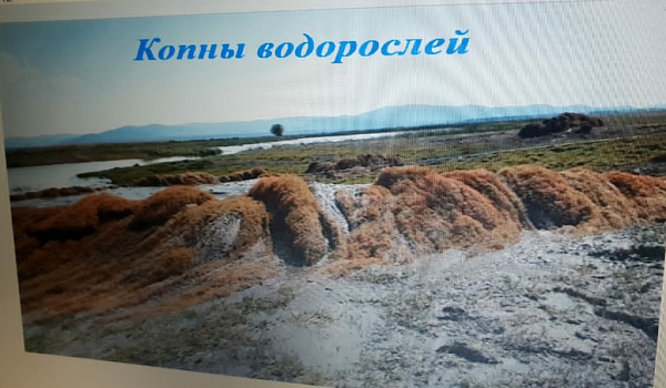 � ������� ����� ����� ����������� �����������