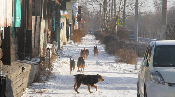 � ����������� ����-��� ������ ������������ �����