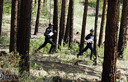 � ������� ������ ������������ �� ����������� ������� 