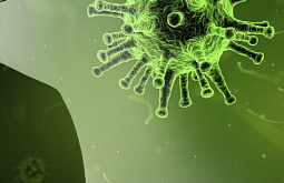 � ������� ������� �������������, ��������, ������� ��������