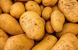 � ������� �������� 36 ����� ���� ���������