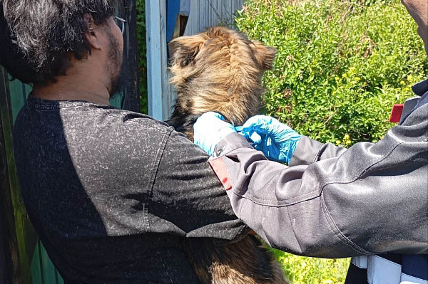 � ����-��� ������ ����� �� ������� ��������