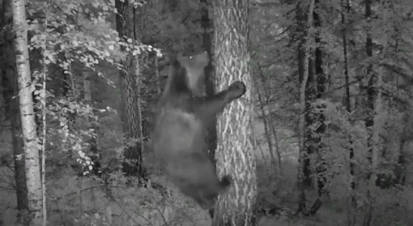 � ������� ���������� ��������� ����� ������������. ����� 