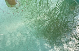 � �������  ������� �������� ������