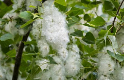 ��������� ���, ����, ����: � ������� ���� ������ ���������� 