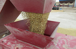 80 �������� ����� �������� ��� ������� �������� ���� �������