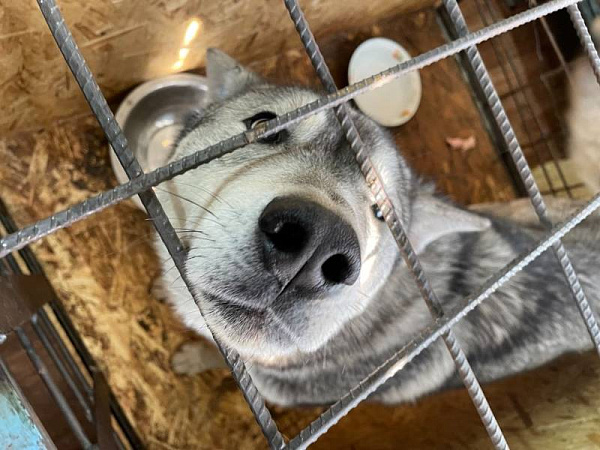 � ����-��� ������� � ������ ������� ����� 300 ������� �����