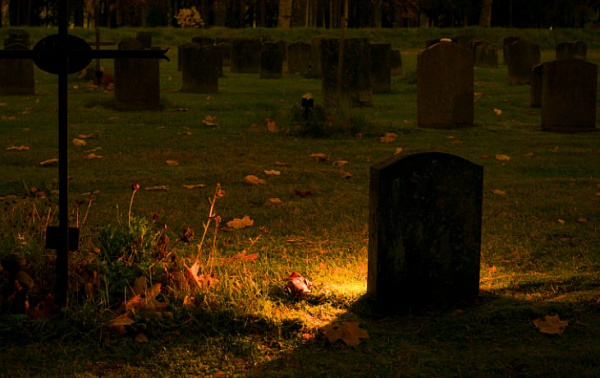 � ������� �������� ����������� �� ������� ���������  