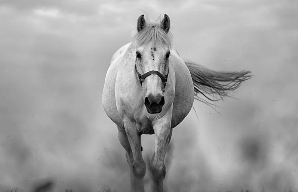 � ������� ������ �������, ���������� �� ������