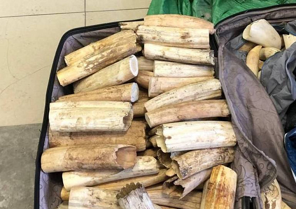 � ���������� � ��� ���� ���� � ����������� ������ ������ � ������ ��������