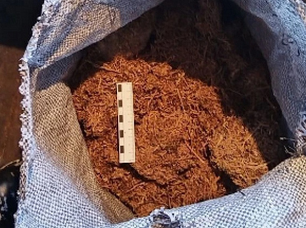 �  ������ ������� ������ ����� ��� ����������� ���������