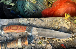 � ����-��� ����� �������� �� ������ ����������� ���� ����� ����