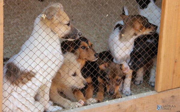 ���������� ������� �������� �������� ������ � ����-��� 