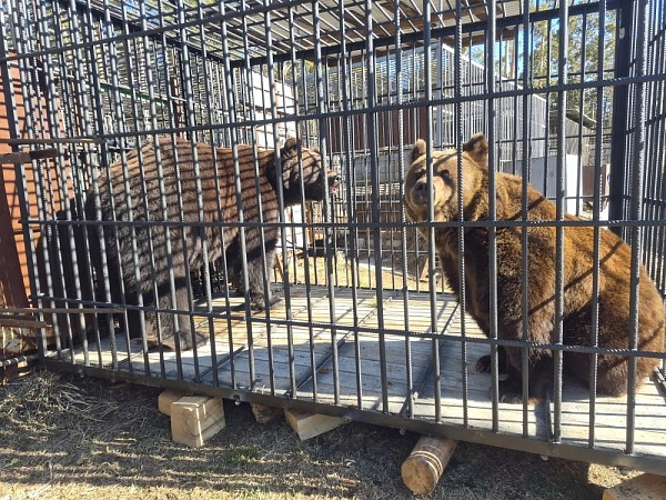 � ������� �������� ���������������� ����� ���������� � ����� �������