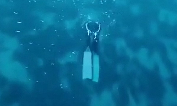 �������� ����������� ����������� � ������ ������ 