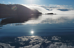 ������ ��������, ��� ������� ������ �� ������ 