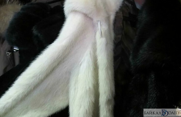 � ����-��� ��������� �������� ���� � ����������� 