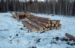 �׸���� ������� � ������� ������� ����� � 260 ����� 