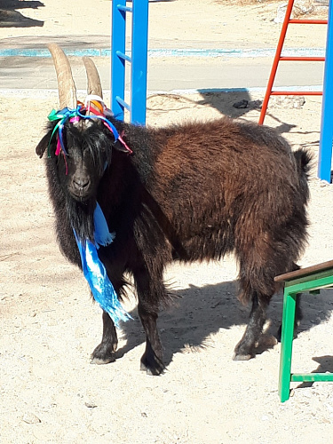 �� ����-��� ����� ����������� ��������� ����