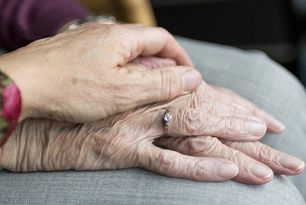 � ������� ������� ����������� �������� ���������� ����� 111 ��� 