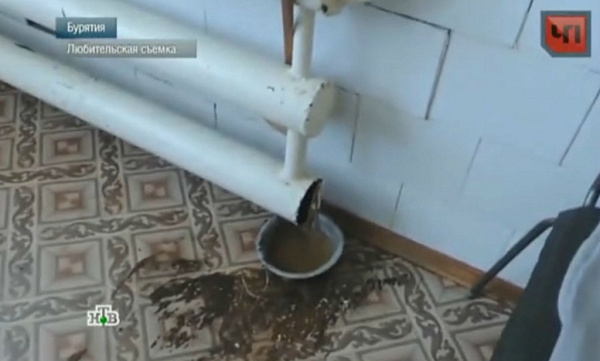 ��� ����, � ��������: ������ ������������ ���������� �� ������ ��� 