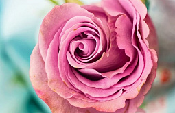 �� ������ � ����� ��������� 750 ������ ������ 