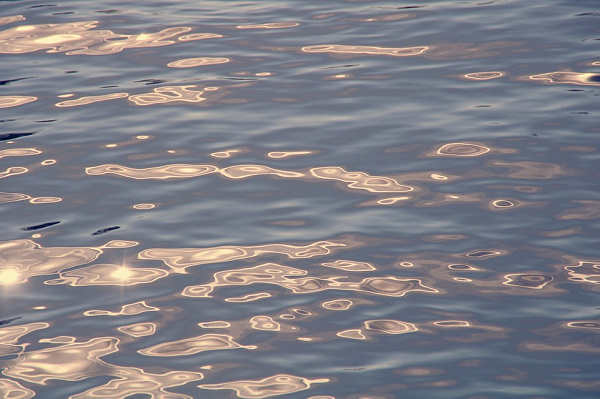 � ���� ��������� � ��������� ��������� ��-�� ������� ����