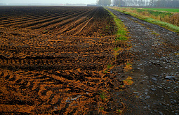 �������� ������� ��������� ���� 67 ��������� ��������