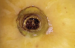 � ���������� ������� �������� ������������ ���������