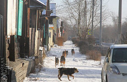 � ������� ������ �������� ����� 2500 �������