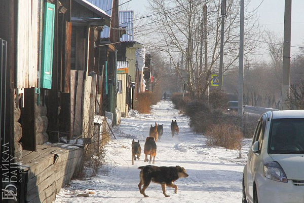 � ������� ������ �������� ����� 2500 �������