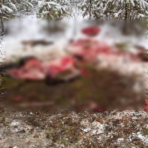 � ��������� ������� ���������� ������� ������������ � �������