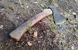 � ������� ������� �������� �������� 