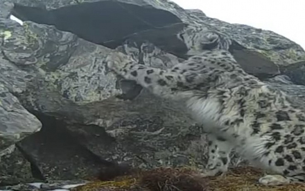 � ������� ����������� ����� ����� �������� ����� �����  