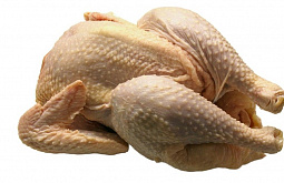  ������ ������ ������� ������� ����� ������ ����� �������� ������� ��������� ������������