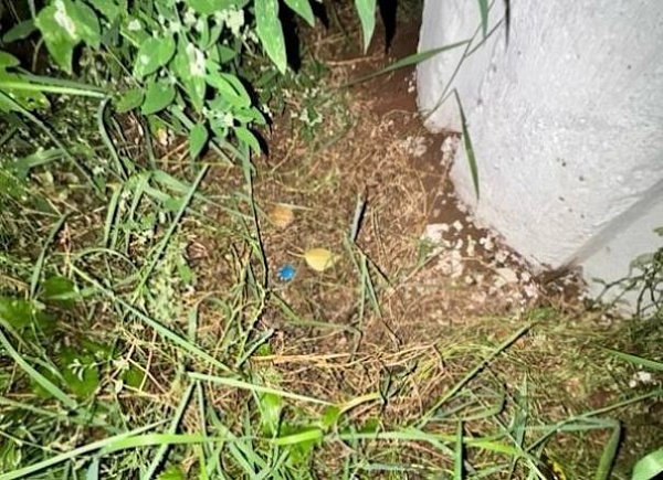 � ������� ��������� ���������������� ����������