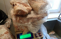 � ���� � ������� ���������� 50 �� ���� ��� ����������