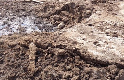 � ������� ������ ���������� ������ ���� ������ 