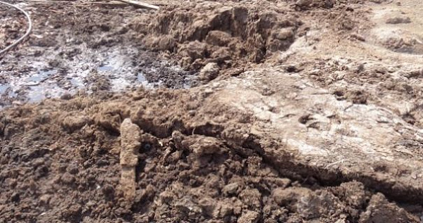 � ������� ������ ���������� ������ ���� ������ 