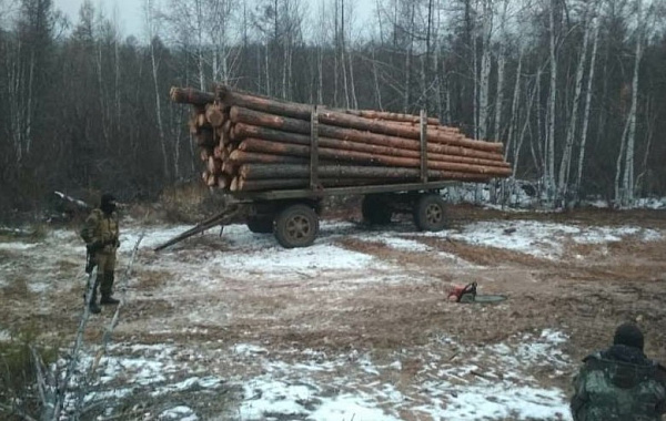 � ������� ������� ��������� ���������� ���� 