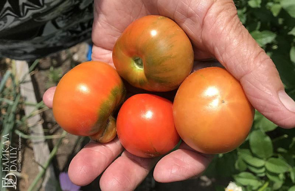 � ������� ������� ����� � ���������� ����������� ���������� 