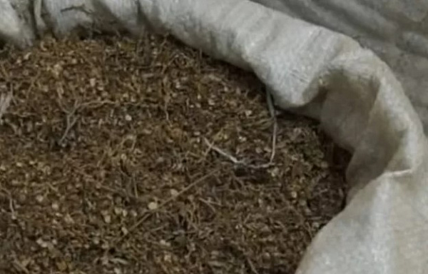 � ������� ������ ���� ������� ��������� 