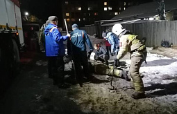 В Иркутской области из канавы спасли щенков и мужчину, хотевшего им помочь 