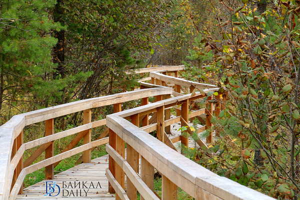 ����������� ���������� ������ ��������� ������� ������� 