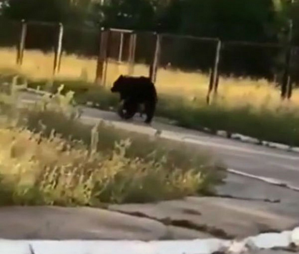 � ������� ������� ����� ����� ������� � ��������