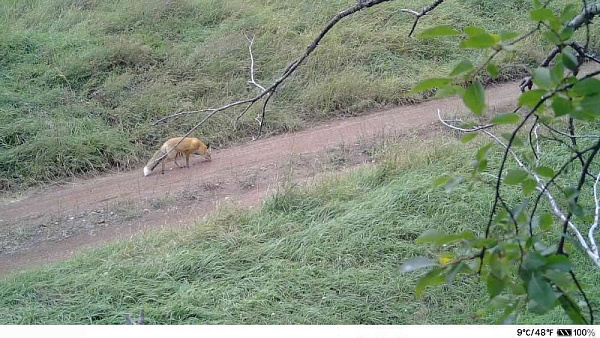 � ������� � ����������� �������� �������, � �� ��� ������ ��� 