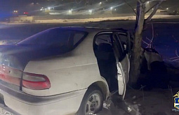 � ����-��� 16-������ ��������� ���������� �������� � ������