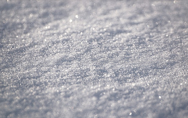 ������ ������� � ����� �� �������� �������� �� ���������� ��������� 